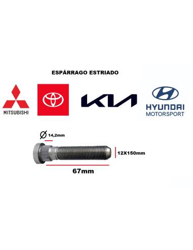 Espárrago con Estriado Especial -...