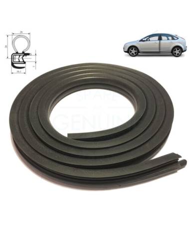 Goma de Puerta Ford Focus