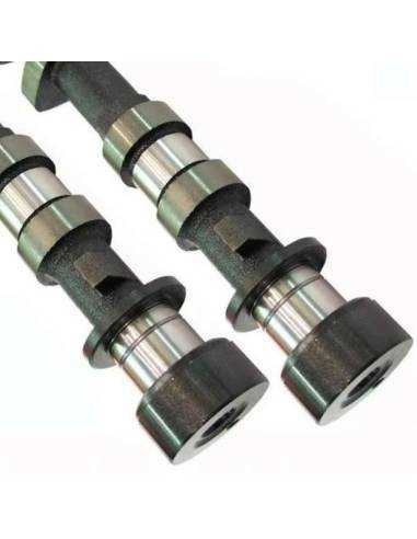 Pareja Árboles Levas CRUZADOS 308º...