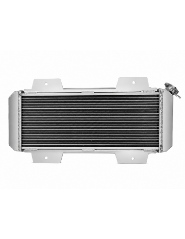Radiador Aluminio Ford Fiesta MK1...