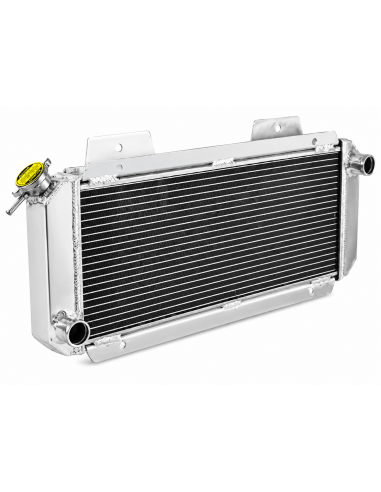 Radiador Aluminio Ford Fiesta MK1 -...