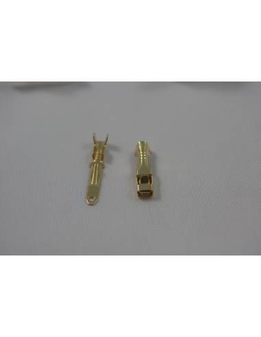 Estuche Conectores Eléctricos (40 Unidades)