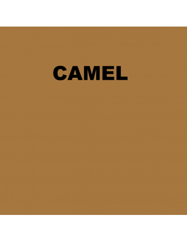 Alfombrillas Mixtas cuero audi A6