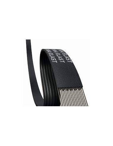 CONTITECH CORREA ACANALADA EXTRA CON...