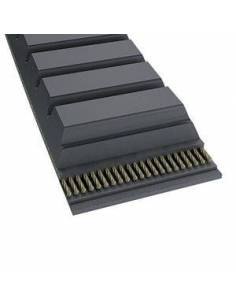 CONTITECH CORREA... 2