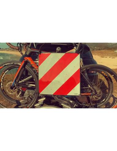 Placa V20 ABS Homologada