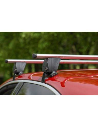 PACK Barras de Techo Menabo DELTA...