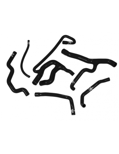 KIT manguitos de silicona Renault R19...
