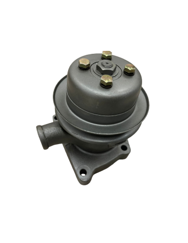 Bomba Agua para Zetor 55010697 -...
