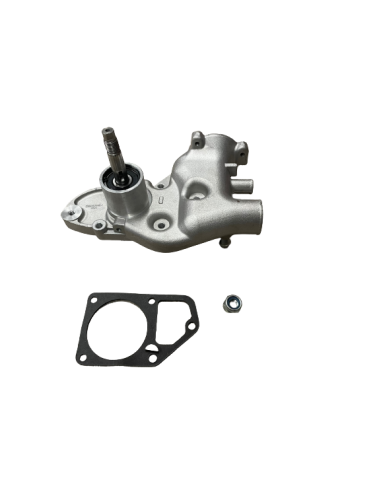 Bomba de Agua para Peugeot J9