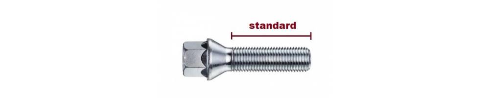 Tornillo Standar
