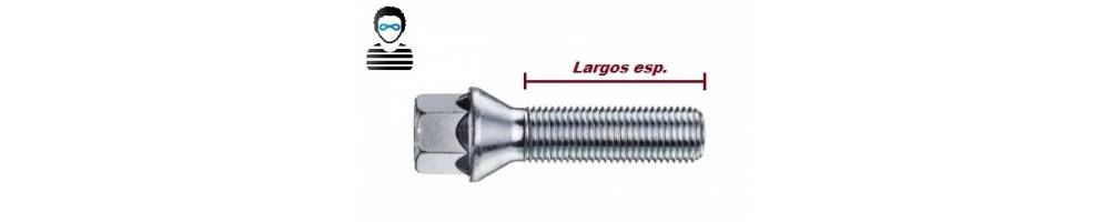 Tornillo Largo Especial Antirrobo