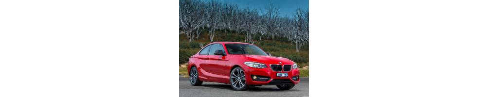 F22 COUPE (2014 en Adelante)